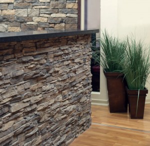 Dark Ember Stone in the reception area