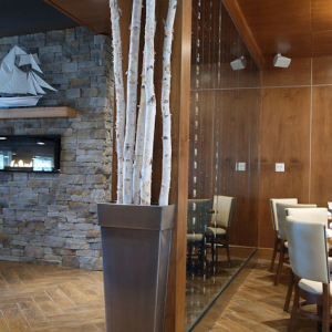 Stone Veneer for Interior Design