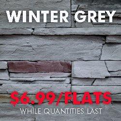 Winter Grey